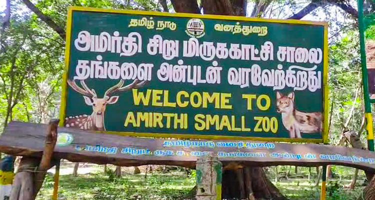 Amirthi Zoological Park in Vellore, a wildlife sanctuary featuring diverse flora and fauna