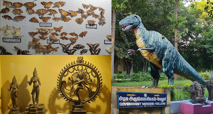 Visit Government Museum Vellore, featuring ancient artifacts, sculptures, and natural exhibits.