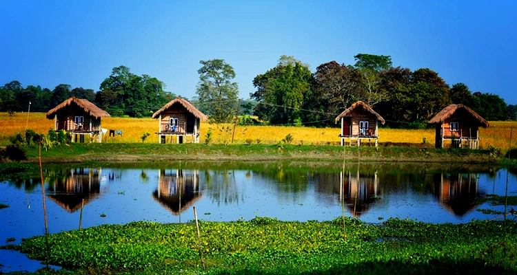  Visit Majuli in Assam to explore monasteries, tribal villages, and serene landscapes.