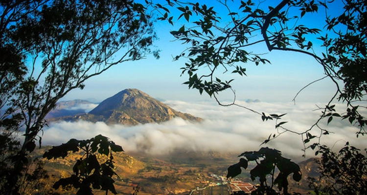 Nandi Hills landscape with a mountain peak, surrounded by clouds and framed by tree branches.