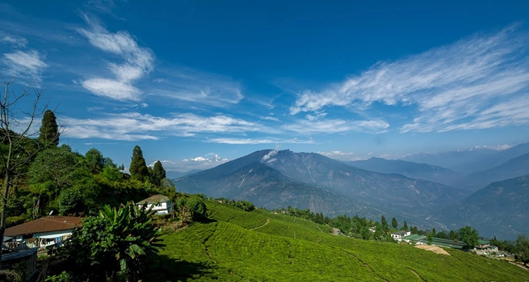 Plan a peaceful trip to Pelling Sikkim and enjoy scenic Kanchenjunga views and historic sites.