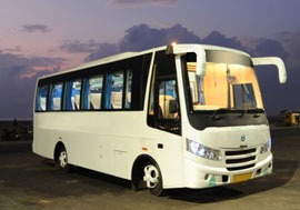 white Leo Bus