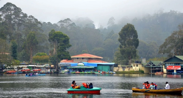 A beautiful view of Kodaikanal with hills and greenery, offering sightseeing and adventure activities