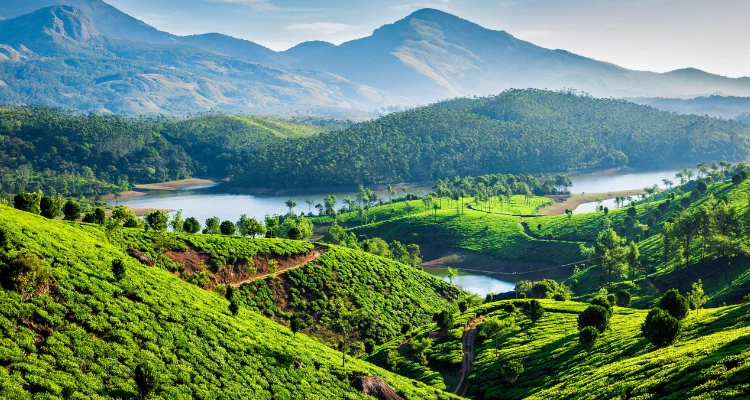 The breathtaking landscapes of Munnar, adorned with tea estates, camping, and sightseeing.