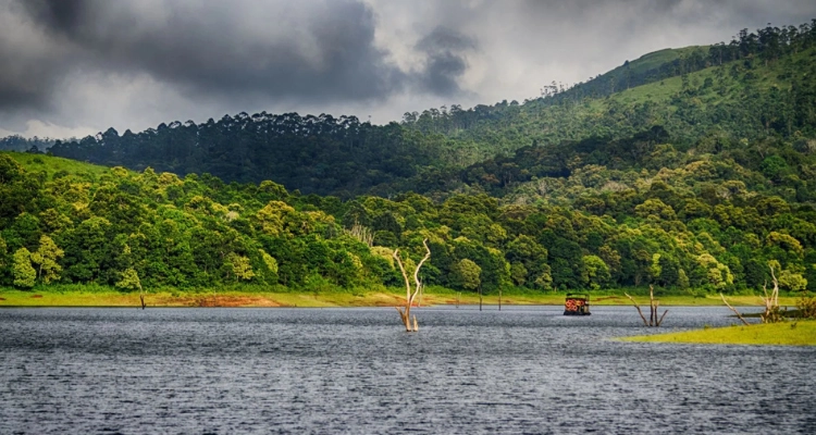 Experience the best of wildlife, nature, and adventure  vacation in Thekkady, Kerala.