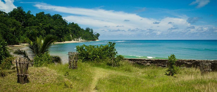 Greeny andaman