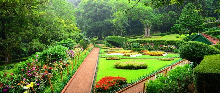 sim park