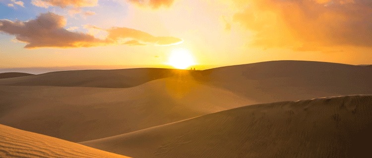 Rajasthan Desert Sunset