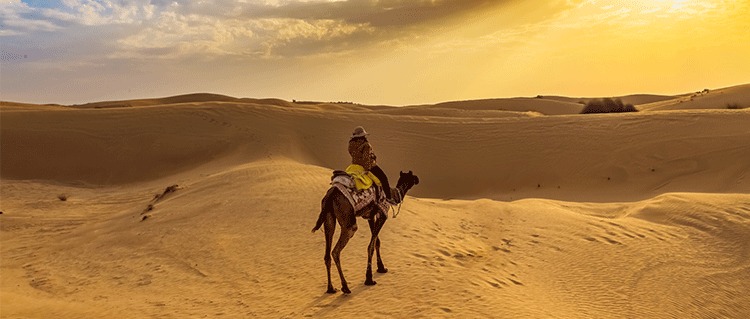 Desert Sand Dune