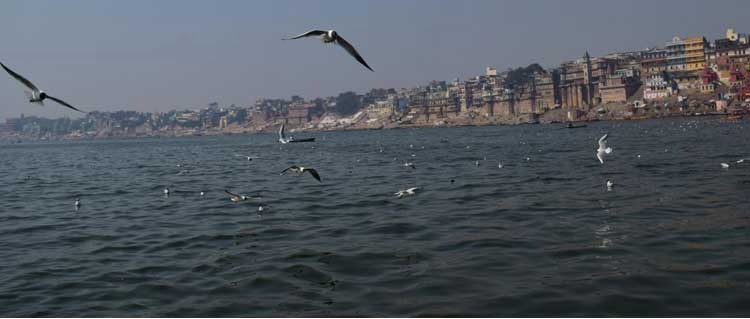 Holy-River Ganga