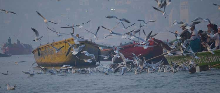 Boating in Ganga River